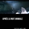 Après la nuit animale de Jonathan Palumbo publié aux éditions Marest