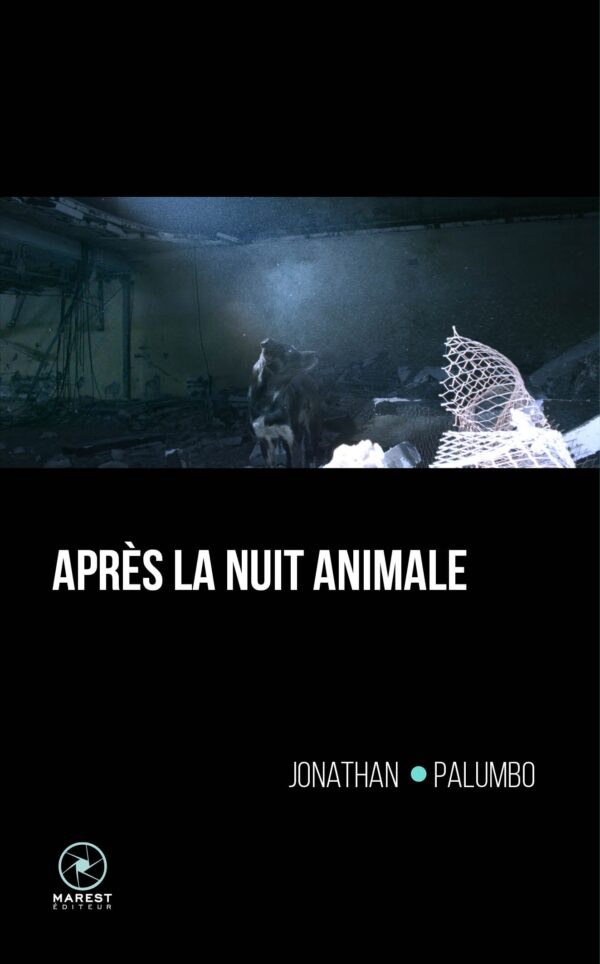 Après la nuit animale de Jonathan Palumbo publié aux éditions Marest