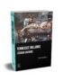 Tennessee Williams l'écran sauvage de Séverine Danflous publié aux éditions Marest couv Baby Doll 3D